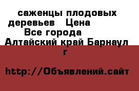 саженцы плодовых деревьев › Цена ­ 6 080 - Все города  »    . Алтайский край,Барнаул г.